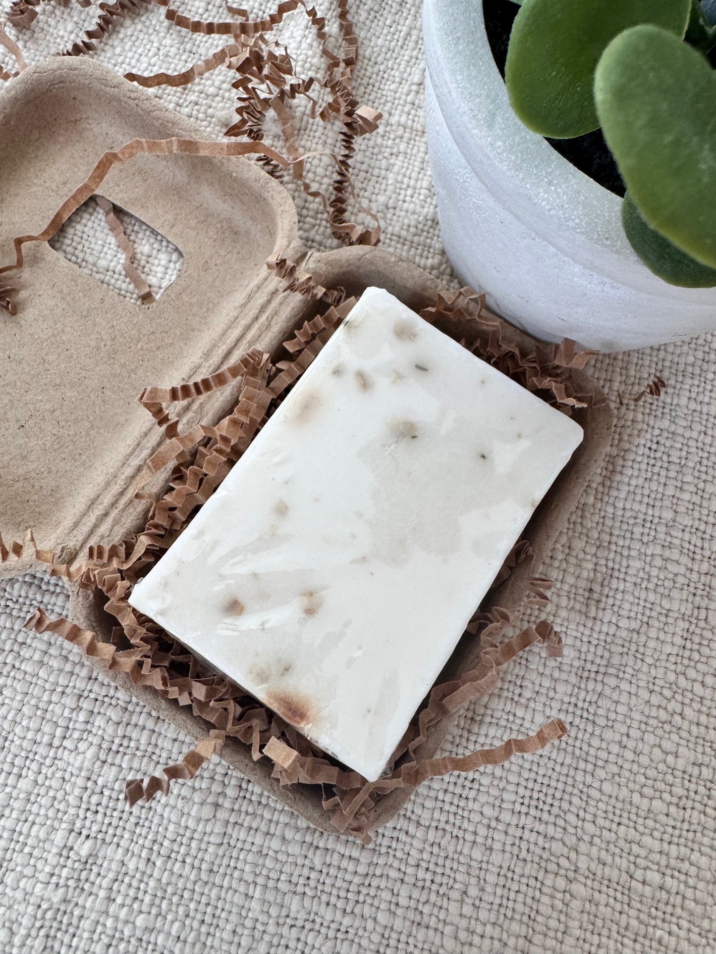Our White Tea Sudzy Box Bar